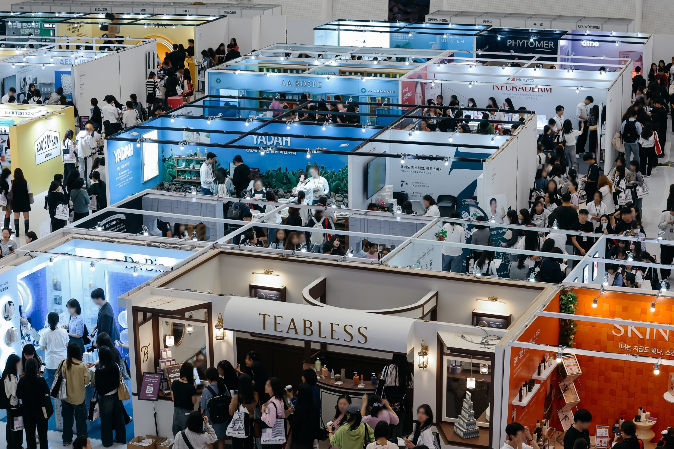 컬리 뷰티축제 '컬리뷰티페스타' 진행