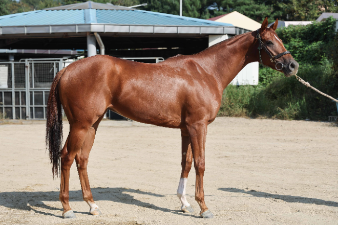 쥬버나일 시리즈 두 번째 관문...제20회 농협중앙회장배(L) 개막