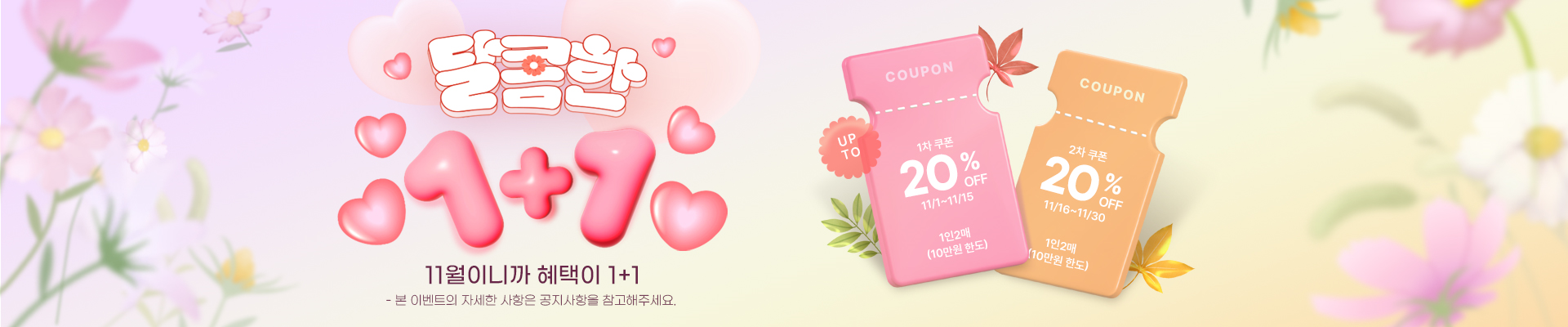 11월 기획전 홍보 배너