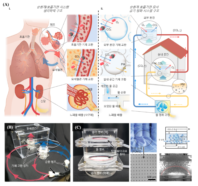 인체 순환계/호흡기관 모사 공기 정화 시스템의 개념 및 실제 구성 모습. 사진=한국연구재단