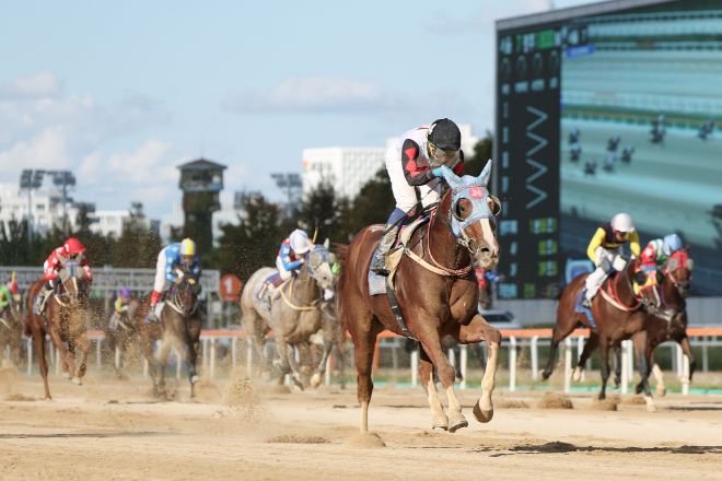 한국마사회, 더러브렛 마주 모집