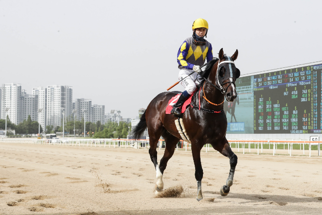 한 해를 마무리 하는 별들의 전쟁...제42회 그랑프리(G1) 개최