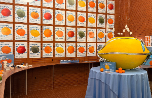 ㈜오뚜기-귤메달, 크리스마스 팝업 스토어 운영