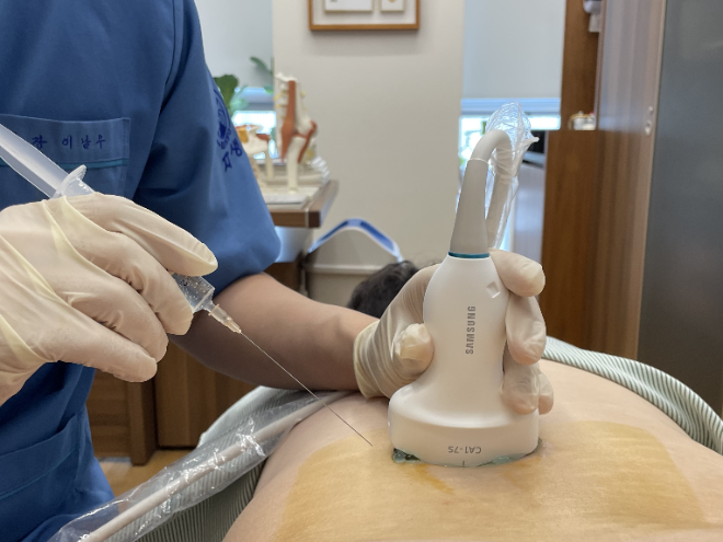 자생한방병원, 초음파 유도 하 고용량 약침 치료 효과 연구