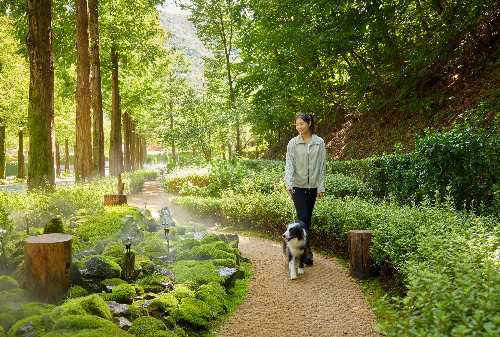 소노펫클럽앤리조트, 유기견 입양 독려 특별행사 진행