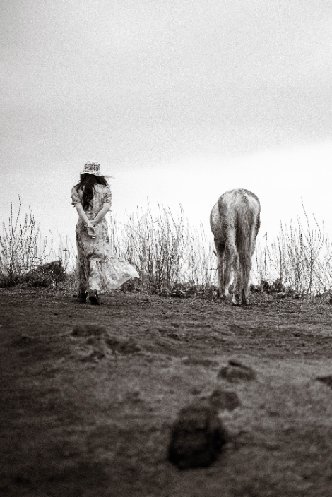 한국마사회, 2024 말 사진 공모전 수상작 발표...오프라인 전시 ‘동행’ 개막