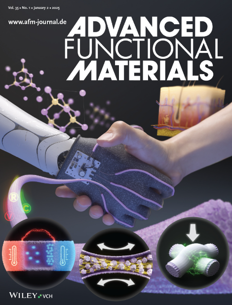 Advanced Functional Materials 저널 전면 표지. 사진=한국연구재단