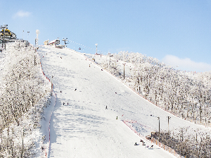 휘닉스 파크, 제3회 어린이 스키대회 진행