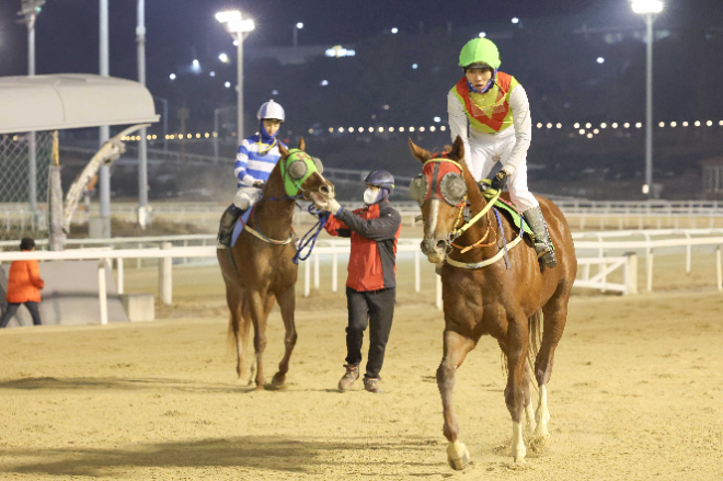 2025년 첫 대상경주 개막...‘제23회 세계일보배’ 개최