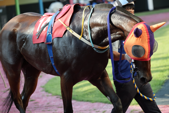2025년 첫 대상경주 개막...‘제23회 세계일보배’ 개최