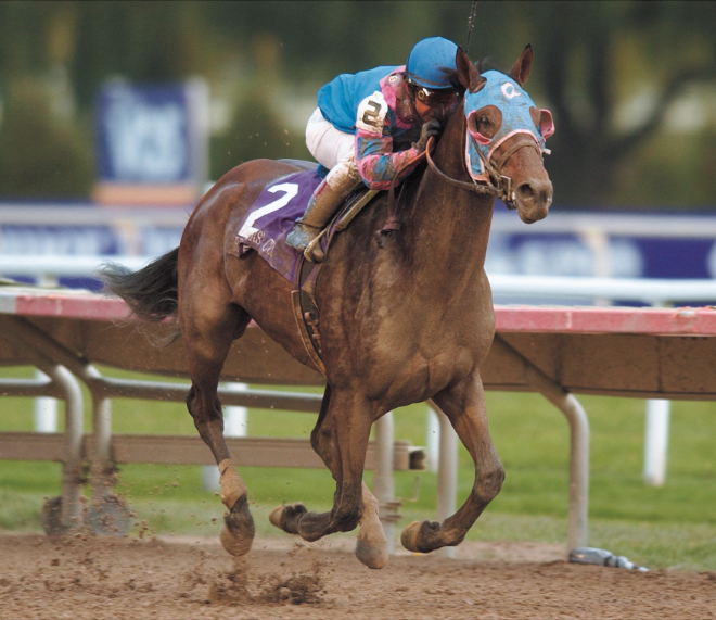 한국마사회 제주목장, 명품 씨수말 ‘볼포니’ 하늘의 별로