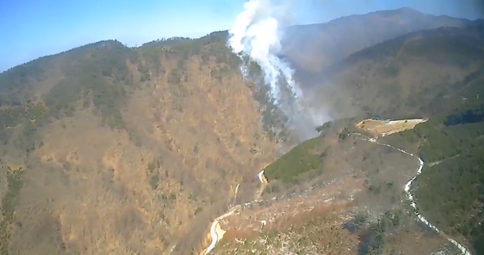 (사진제공=산림청)