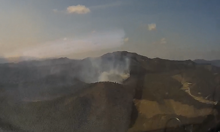 (사진제공=산림청)