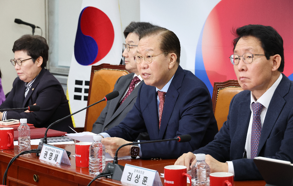 발언하는 권영세 비상대책위원장(사진=연합뉴스)