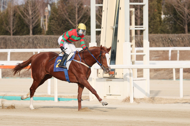 지난 23일 제38회 스포츠서울배 우승마 찬페이머스. 사진=마사회