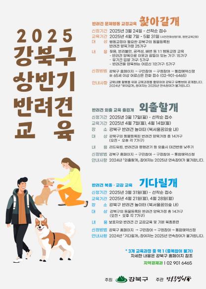 2025년 상반기 반려견 교육 포스터
