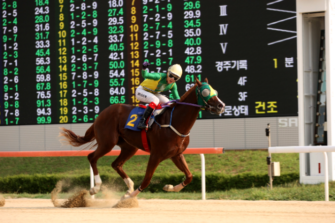 렛츠런파크 부산경남, 제19회 부산일보배 ‘관록-패기의 대결’