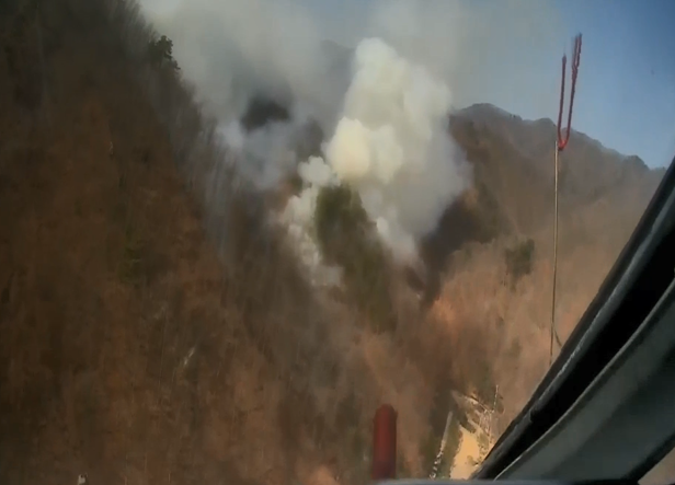 (사진제공=산림청)