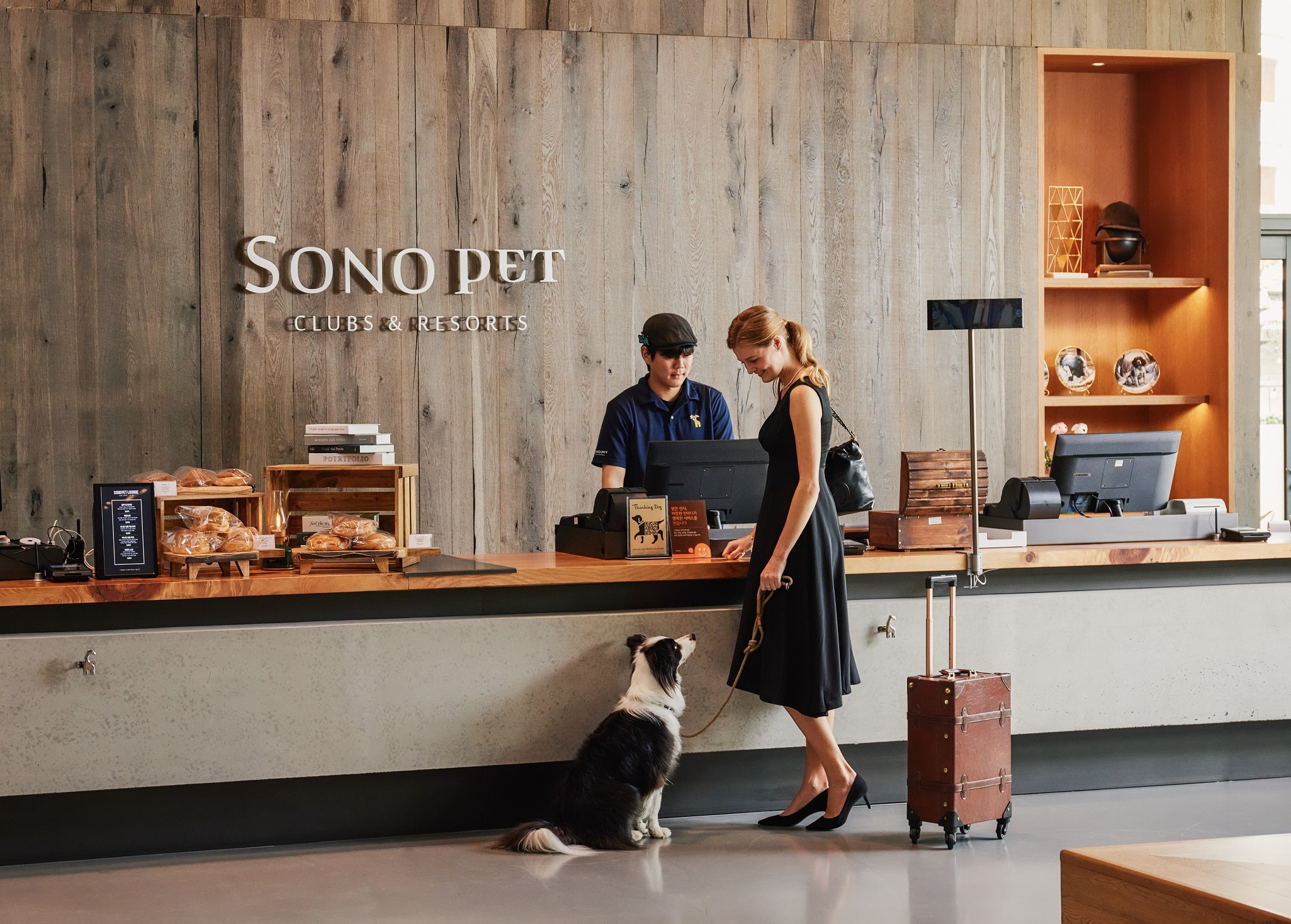 소노인터내셔널, 소노펫 비발디파크 랜선위크 기획전 실시