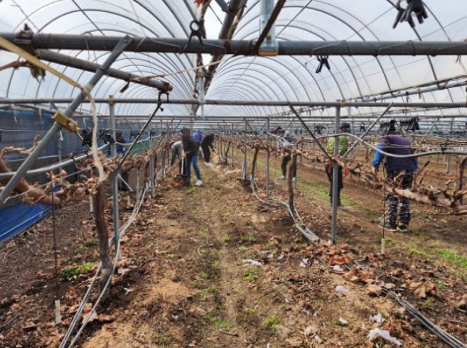 (사진제공=창원준법지원센터)