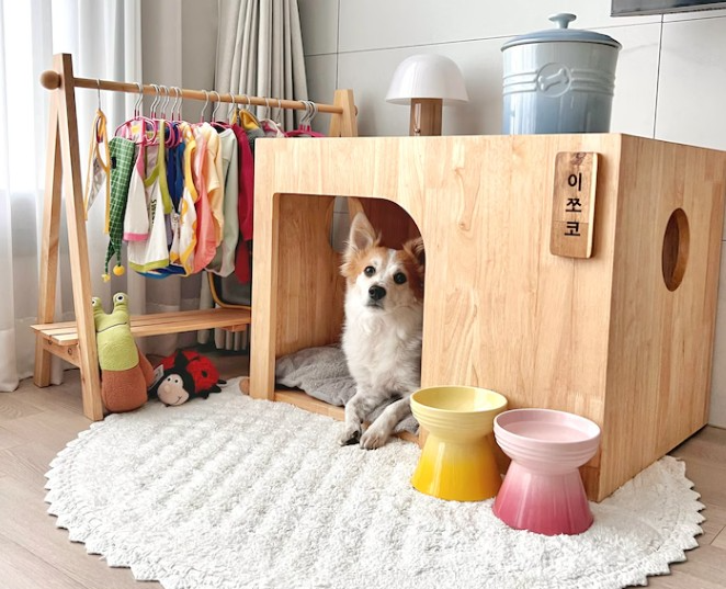 23일 국제 강아지의 날··오늘의집 반려동물 카테고리 성장세 분석 결과 발표