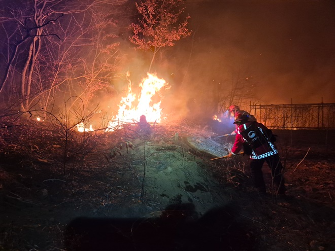 (사진제공=산림청)