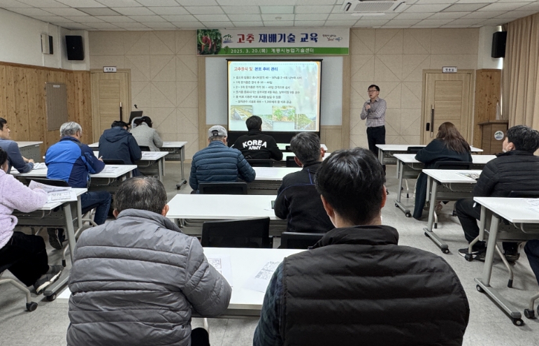 계룡시, 고추 재배기술 교육