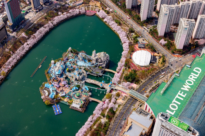 "롯데월드 어드벤처·서울스카이서 석촌호수 벚꽃 이색적으로 즐기자"