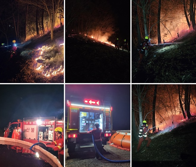 (사진제공=산림청)