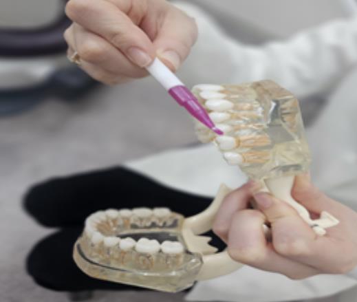 치간 칫솔을 이용한 구강 관리 교육