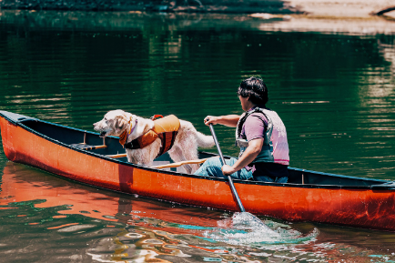 대명소노그룹, 소노펫 비발디파크 ‘펫 동반 카누투어 패키지’ 선보여