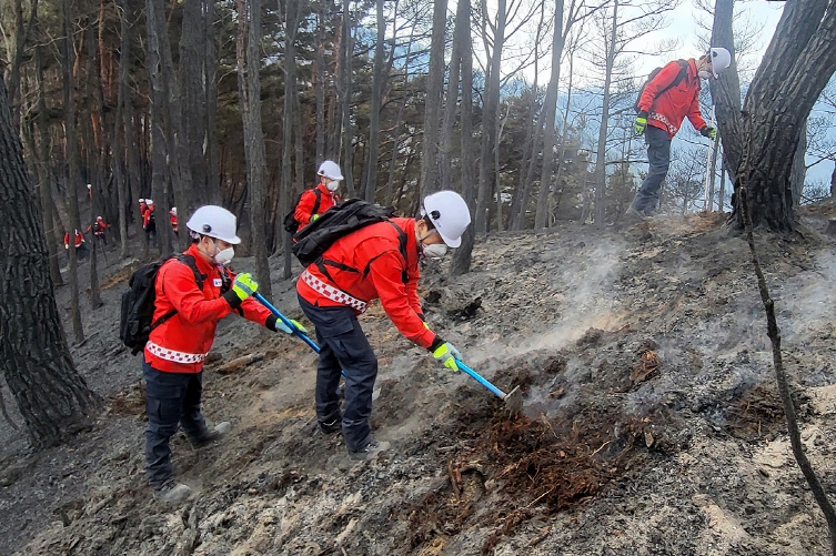 부남면 산불 진화 현장 (무주군 공무원 산불진화대)