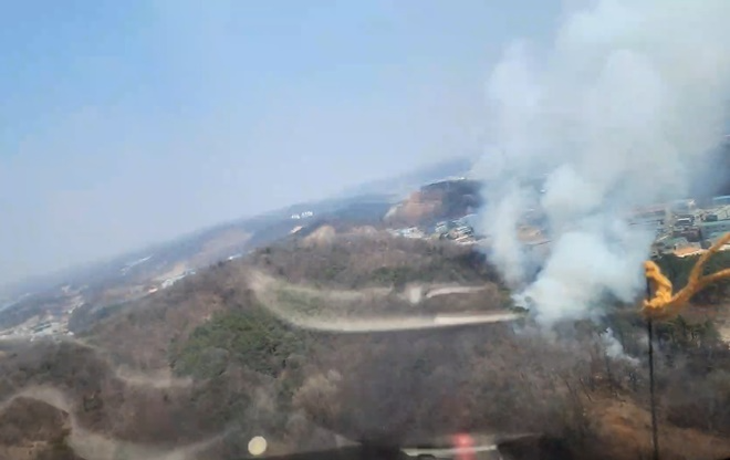 (사진제공=산림청)