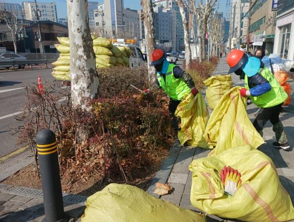 새봄맞이 가로수, 녹지대 정비 사진