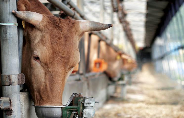 장흥군, 2025년 상반기 사료구매자금 96억원 지원