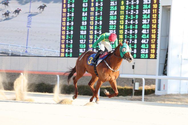 "새로운 스타 탄생?" 오는 6일 제21회 KRA컵 마일 개최
