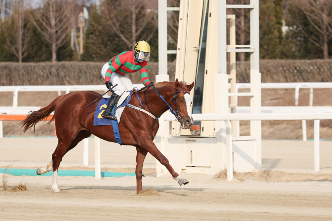 "새로운 스타 탄생?" 오는 6일 제21회 KRA컵 마일 개최