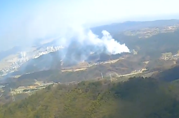 (사진제공=산림청)