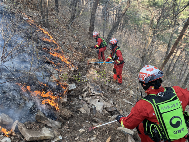 (사진제공=산림청) 현장과 무관.