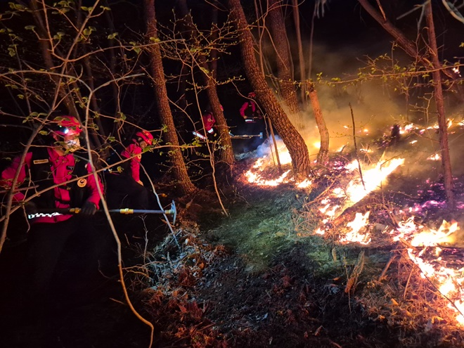 (사진제공=산림청)
