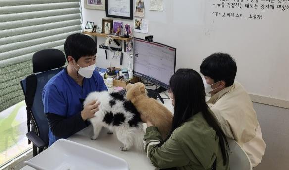 성동구가 오는 16일부터 30일까지 봄철 광견병 예방접종을 실시한다.