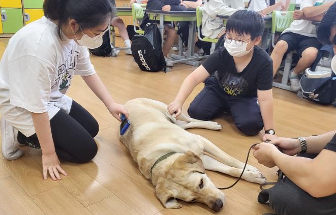 초등학교 학급별 진로체험 프로그램 운영 하는 모습