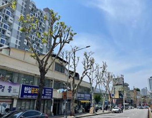 광진구, 가로수 가지치기 경진대회 2년 연속 우수상 수상!