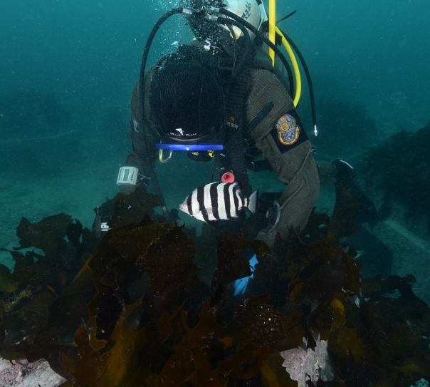 대진어촌계, 해양수산부장관 표창 수상