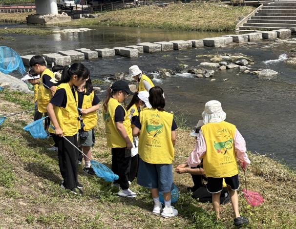 초등학생들이 우이천 생태환경 체험을 하고 있다.