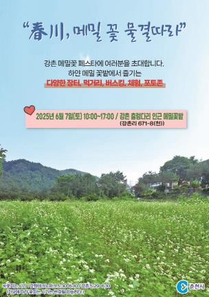 춘천시 ‘막국수 본고장에서 즐기는’ 강촌 메밀꽃 페스타