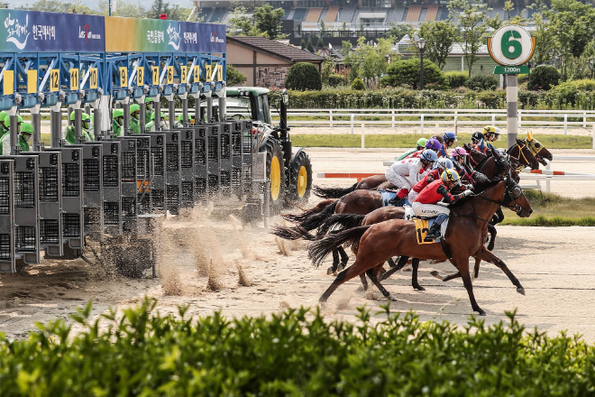한국마사회, 오는 7월부터 서울 주행심사제도 개선
