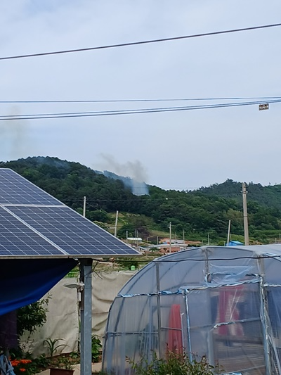 (사진제공=산림청)