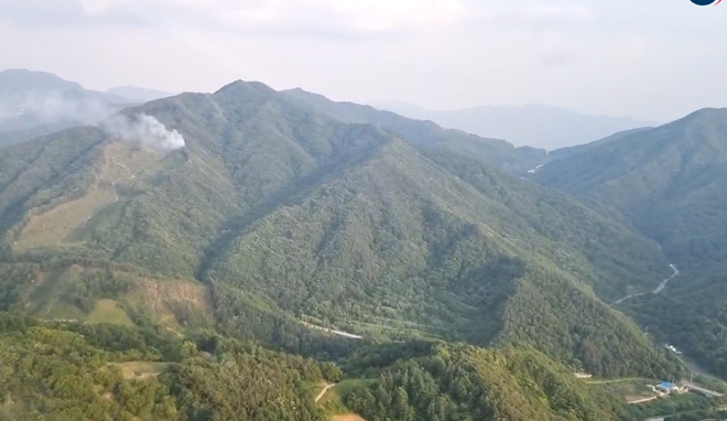 (사진제공=산림청)