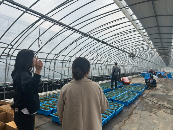 금산군 지역공동체 일자리 추진 모습